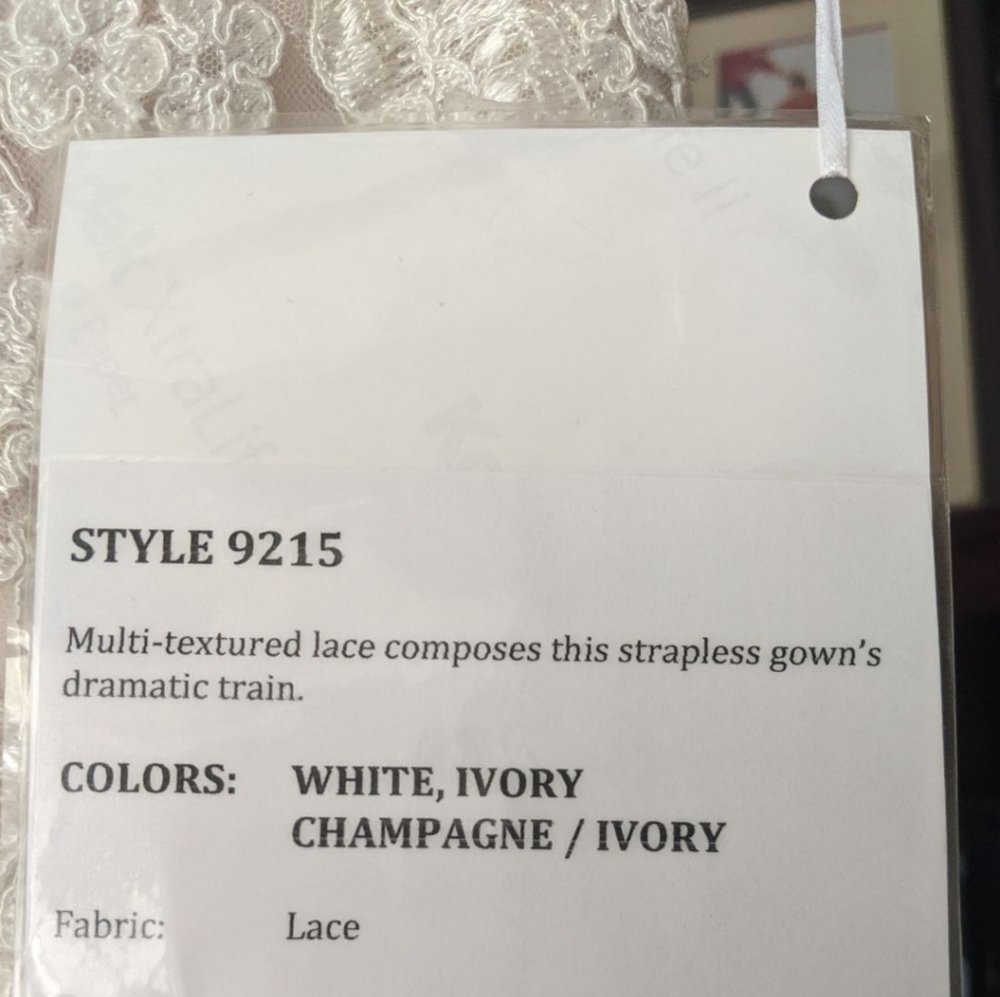 Strapless Lace Dramatic Train Wedding Dress Ivory Champagne Size 8 - Picture 9 of 12